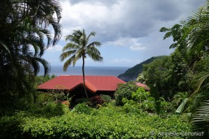 Guadeloupe Août 2015-02820         